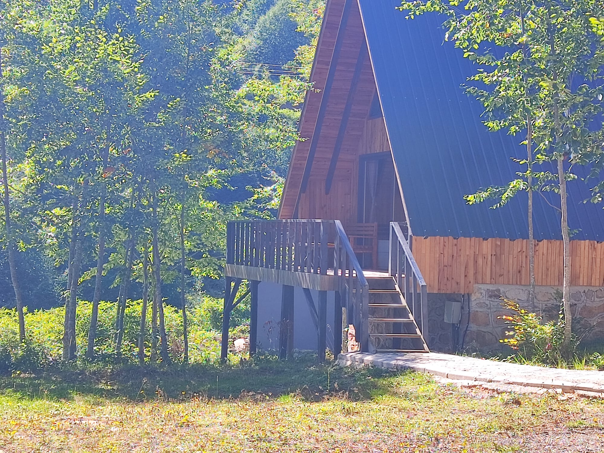 The A-frame bungalow framed through silver birch trunks in warm morning light, with its raised deck, railing and external stair.