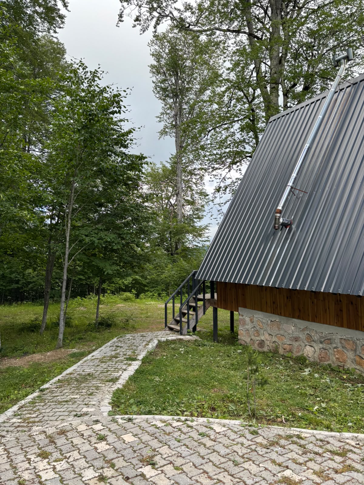 A side profile of the bungalow showing its steep dark metal roof sweeping toward the ground, timber walls on a stone base, and a stone path crossing the forest clearing.