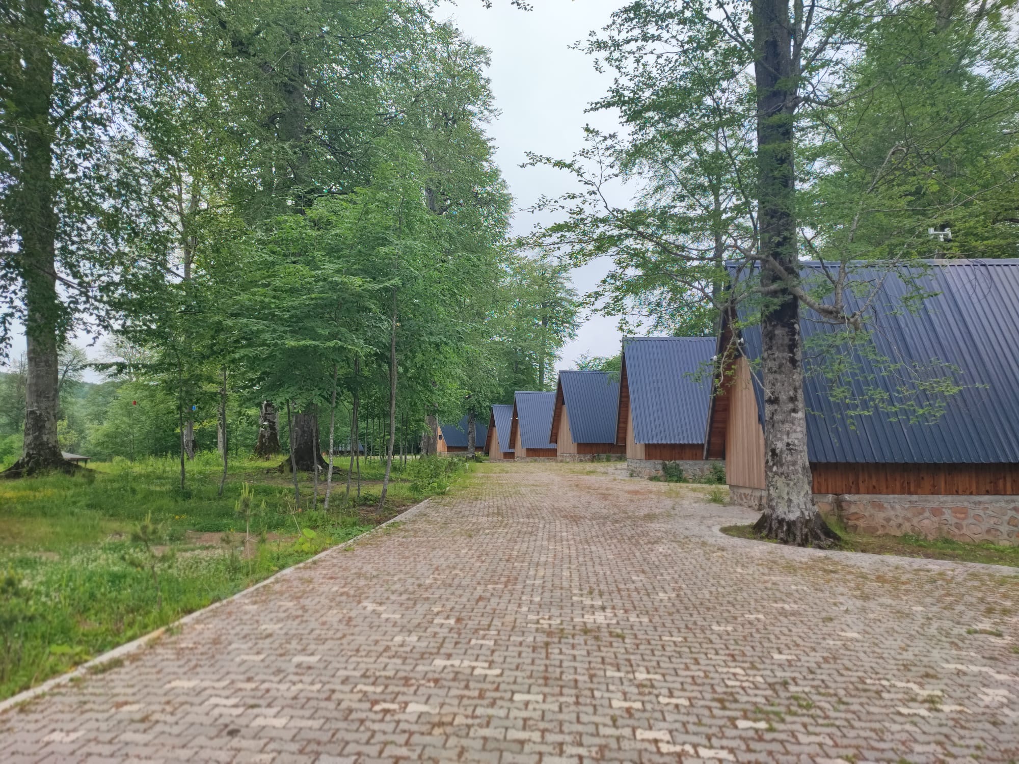 A row of dark A-frame cabins receding along a brick-paver path through tall beech trees under a soft overcast sky.