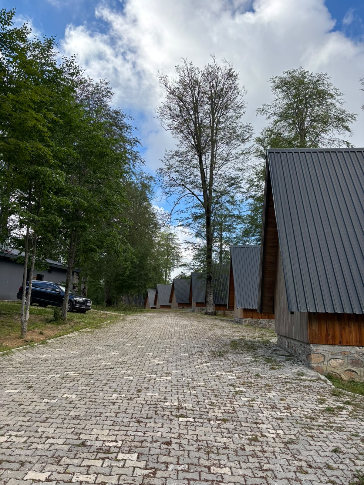A paver path running alongside a row of dark A-frame cabins beneath tall trees.