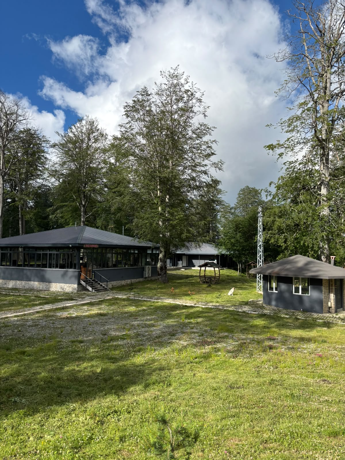A wide view of the retreat clearing with the glass restaurant on the left and a cabin on the right, tall trees and open sky over the meadow.