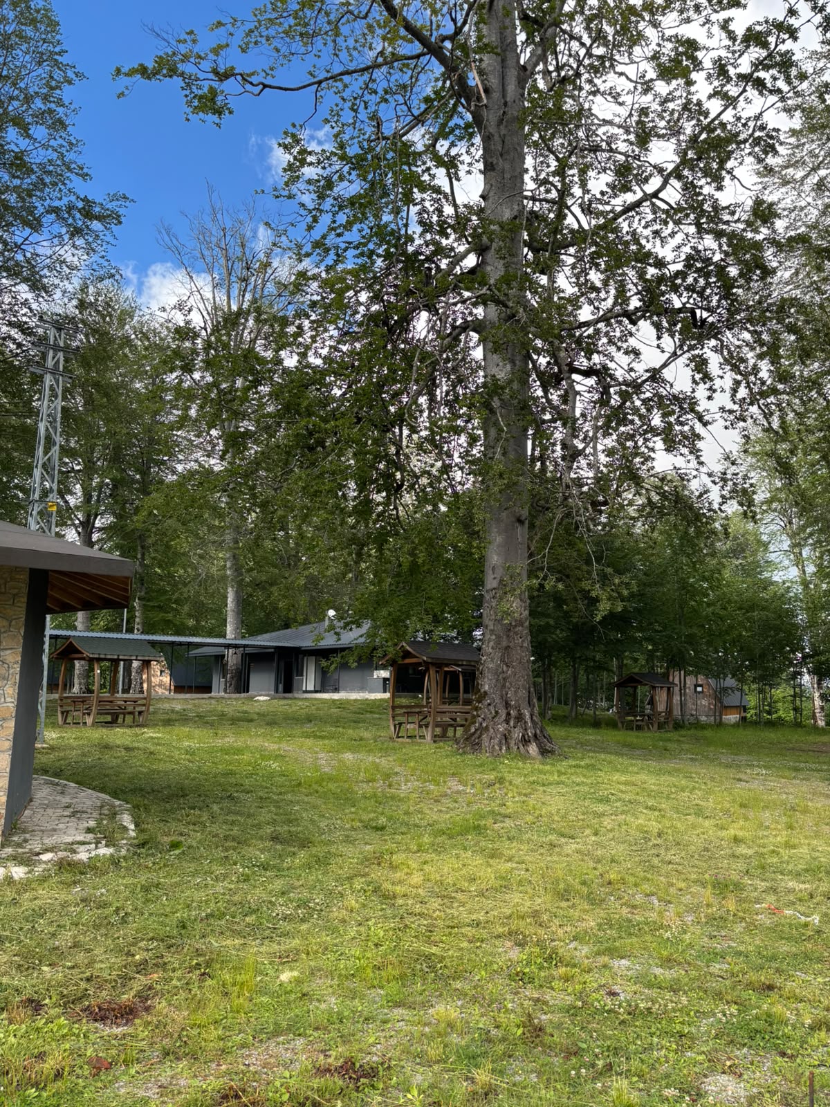 A grassy forest clearing with wooden gazebos and picnic shelters scattered beneath a huge mature beech tree, retreat buildings behind.
