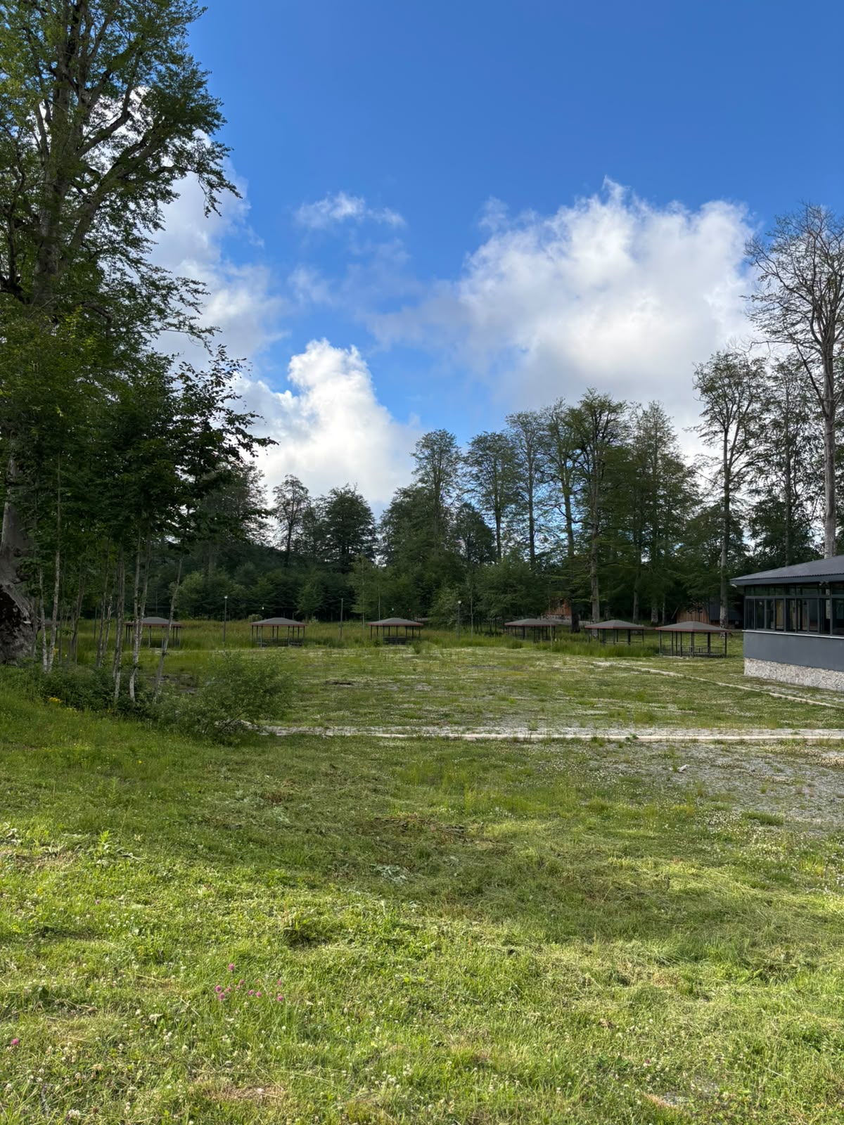 A broad open meadow lined with picnic gazebos along the treeline, the glass restaurant at right under dramatic clouds.